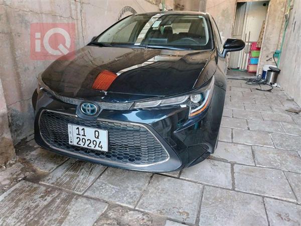 Toyota for sale in Iraq